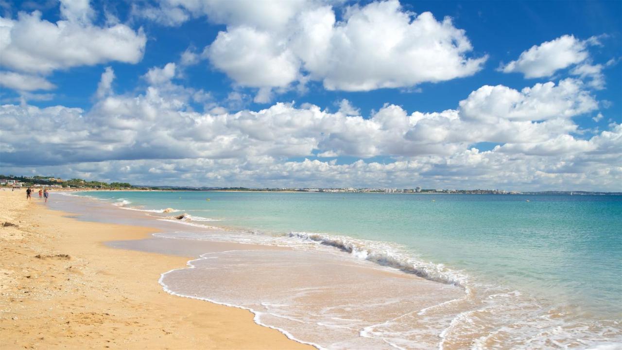 Tranquility And Sea View At Meia Praia #1867 Lagos Eksteriør billede